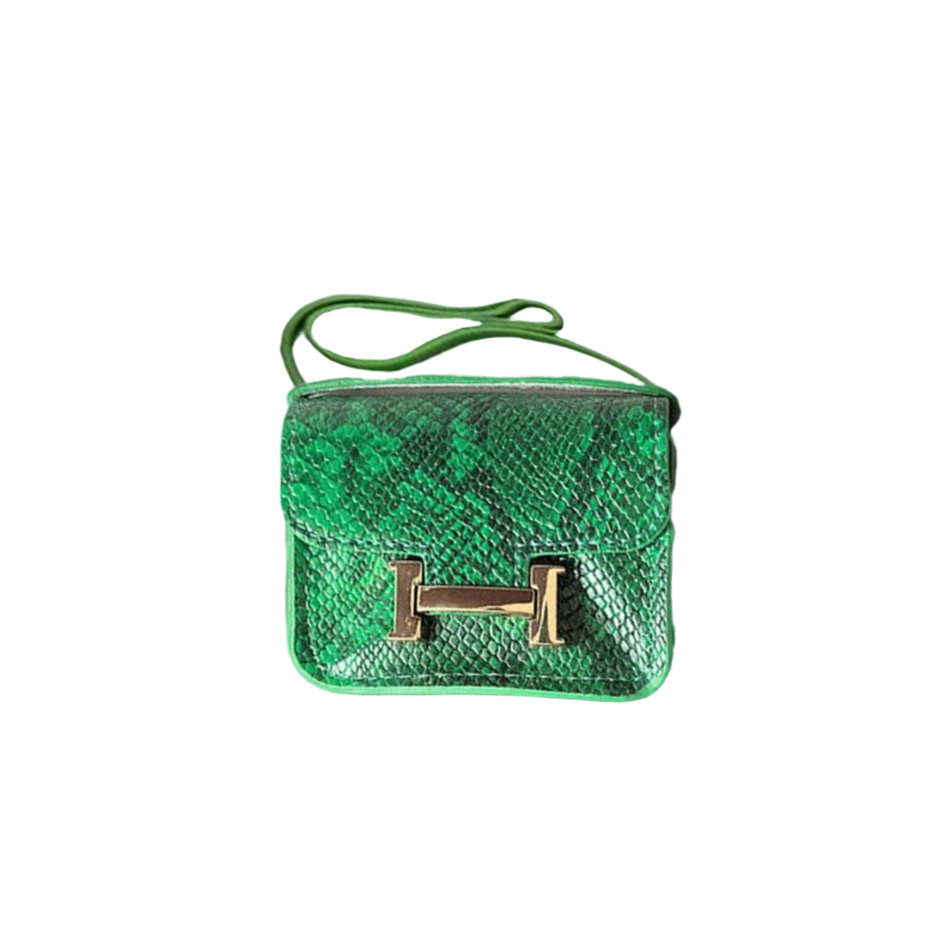 Iconic Snakeskin Bag Charm